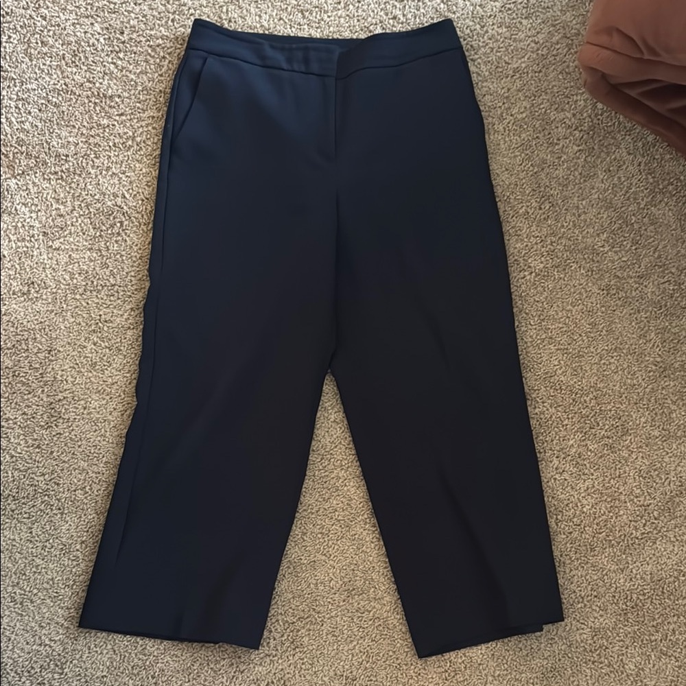 Ann Taylor Black Tailored Ankle Cropped Pants